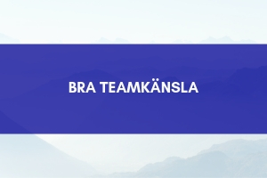 Teamkänsla