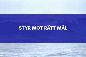 Styr mot rätt mål